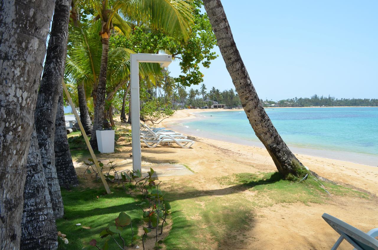Aligio Beachfront Paradise Лас Теренас Екстериор снимка